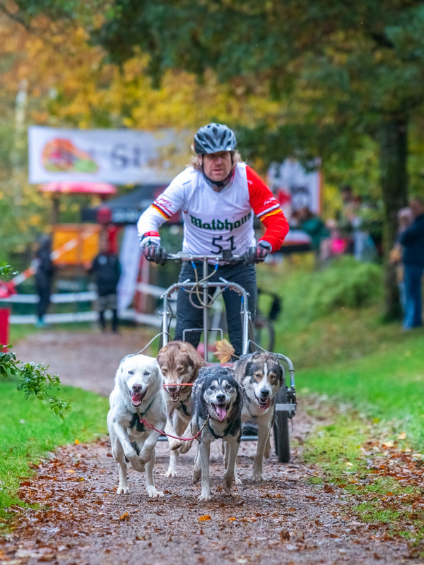 Schlittenhundewagerennen 