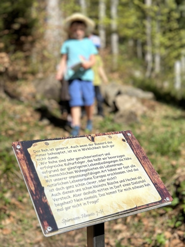 Sp�rnasenpfad in Todtmoos